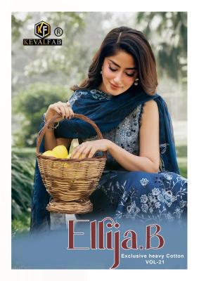 Kevalfab ellija-b vol-21 Wholesale clothing market