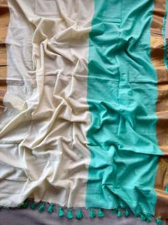 Vastrangan Bridal sarees in Punjab