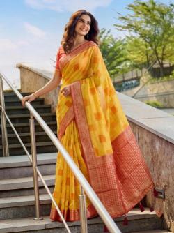 ASOPALAV Wholesale saree shop