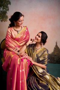 Rajpath anvika  Saree suppliers in Chhattisgarh