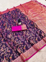 Anupama kashmiri Chhattisgarh saree manufacturers