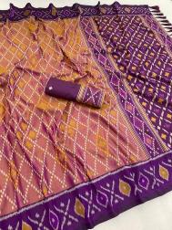 Anupama patola  Wholesale saree suppliers in Chhattisgarh
