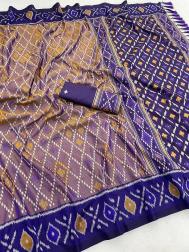 Anupama patola  Wholesale saree suppliers in Chhattisgarh