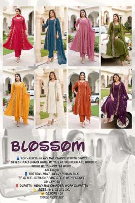 Desi kudi blossom Chhattisgarh wholesale kurti market