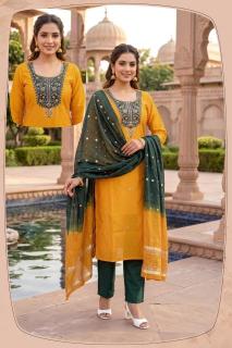 Desi kudi gulzaar Chhattisgarh kurti market prices