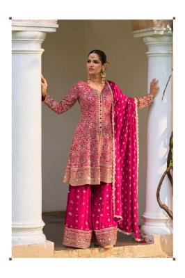 Gulkayra rakul Salwar suit wholesale market