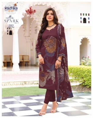 Radhika Wholesale kurtis in Andhra Pradesh