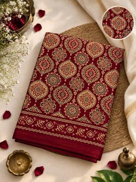 Vastrangan patola Saree wholesaler