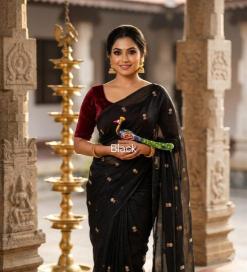 Astitva sartin bhavnagar wholesale blouse