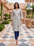 Blue hills romy wholesale kurti market gandhinagar