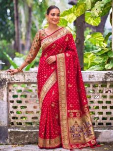 KANAKLATA  wholesale saree market in jaipur with price