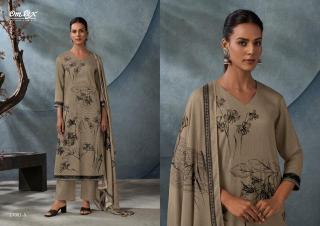 Omtex kassel  wholesale dress market kolkata