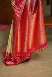 Vastrangan  wholesale saree market in gandhinagar