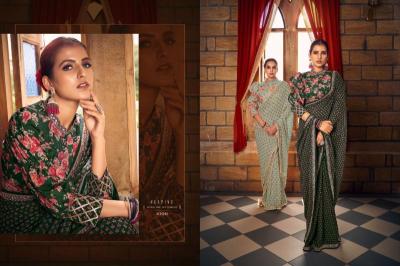 Vouch nayika  wholesale saree market in jaipur with price