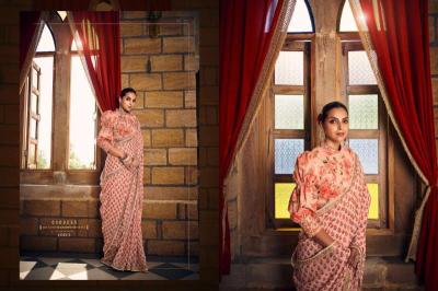 Vouch nayika  wholesale saree market in jaipur with price